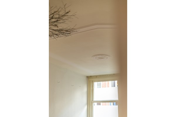 Medium property photo - Hendrik van Deventerstraat 106, 2563 XW Den Haag